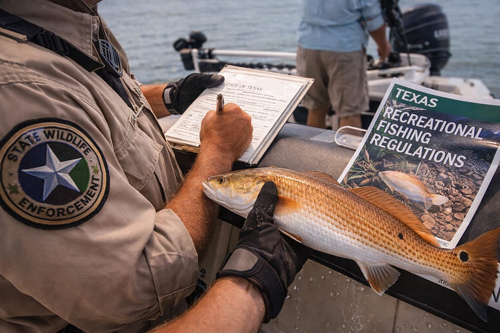 The Birth Of Modern Redfish Regulations