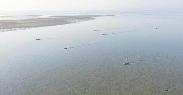Redfish Behavior Is Already Changing