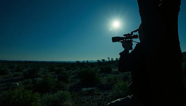 A skilled hunter, dressed in practical, modest outdoor clothing, is using a high-tech night hunt legal thermal scope. This figure is in the foreground, tucked behind a tree, intently observing a distant target under a starlit sky. The thermal scope glows subtly in shades of green and black, contrasting with the dark silhouette of the hunter. In the middle ground, the landscape showcases rugged Texas terrain, dotted with sparse foliage and rocks, illuminated by the soft glow of the moonlight, enhancing the atmosphere of a nighttime hunt. In the background, the distant outline of more trees fades into the darkness. The mood is tense and focused, emphasizing the precision and excitement of night hunting tactics. A skilled hunter, dressed in practical, modest outdoor clothing, is using a high-tech night hunt legal thermal scope. This figure is in the foreground, tucked behind a tree, intently observing a distant target under a starlit sky. The thermal scope glows subtly in shades of green and black, contrasting with the dark silhouette of the hunter. In the middle ground, the landscape showcases rugged Texas terrain, dotted with sparse foliage and rocks, illuminated by the soft glow of the moonlight, enhancing the atmosphere of a nighttime hunt. In the background, the distant outline of more trees fades into the darkness. The mood is tense and focused, emphasizing the precision and excitement of night hunting tactics.