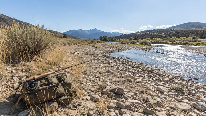 How Anglers Can Make Better Heat Decisions