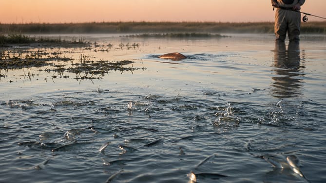 Lower Laguna Madre’s July Redfish Bite